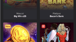 casino games for mobile players