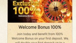 Everum Casino Bonuscode Screenshot