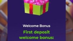 iWild casino bonuses
