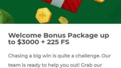 Pledoo Casino Bonuses Screenshot