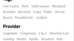 Playbetr Casino Games Screenshot