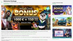 Fortune Panda bonus code landing page