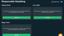 GreenSpin Casino Responsible Gambling