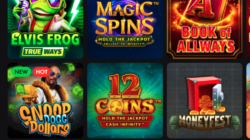roosterbet games mobile