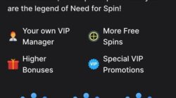 Need For Spin Loyalty Mobile