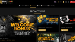 Black Lion Casino Bonuses