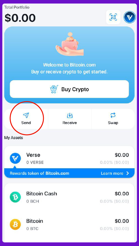 Set Bitcoin Fees Screenshot