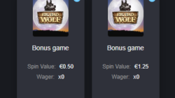 Bons Casino Bonus Shop Screenshot