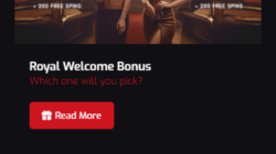 Royal Stars Casino Bonuses Screenshot