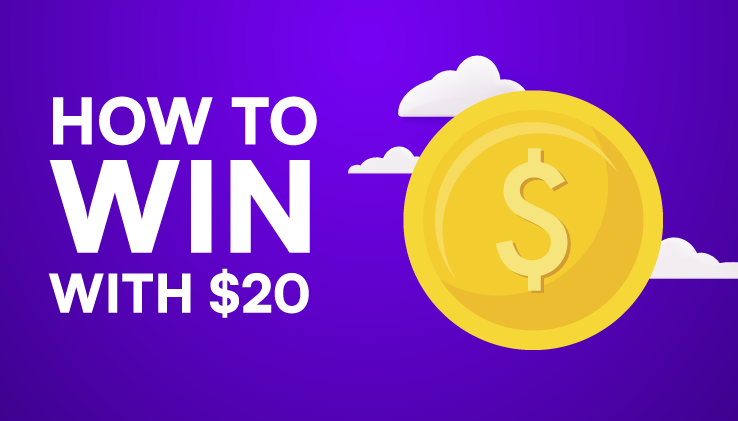 how to win at the casino with 20 dollars cover image