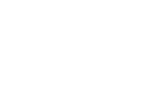 flush logo