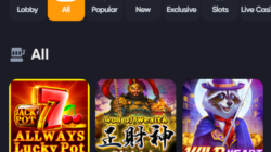 Image displaying Spinarium games