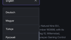 mobile menu for languages