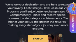 vip program for mobile players