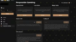 KingBilly-Casino-responsiblegambling-desktop