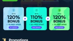 wild.io promos mobile ss