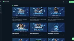 casino bonuses