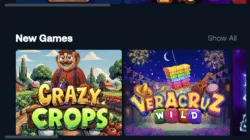 casino games for mobile players
